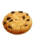 cookie with chocolate chips